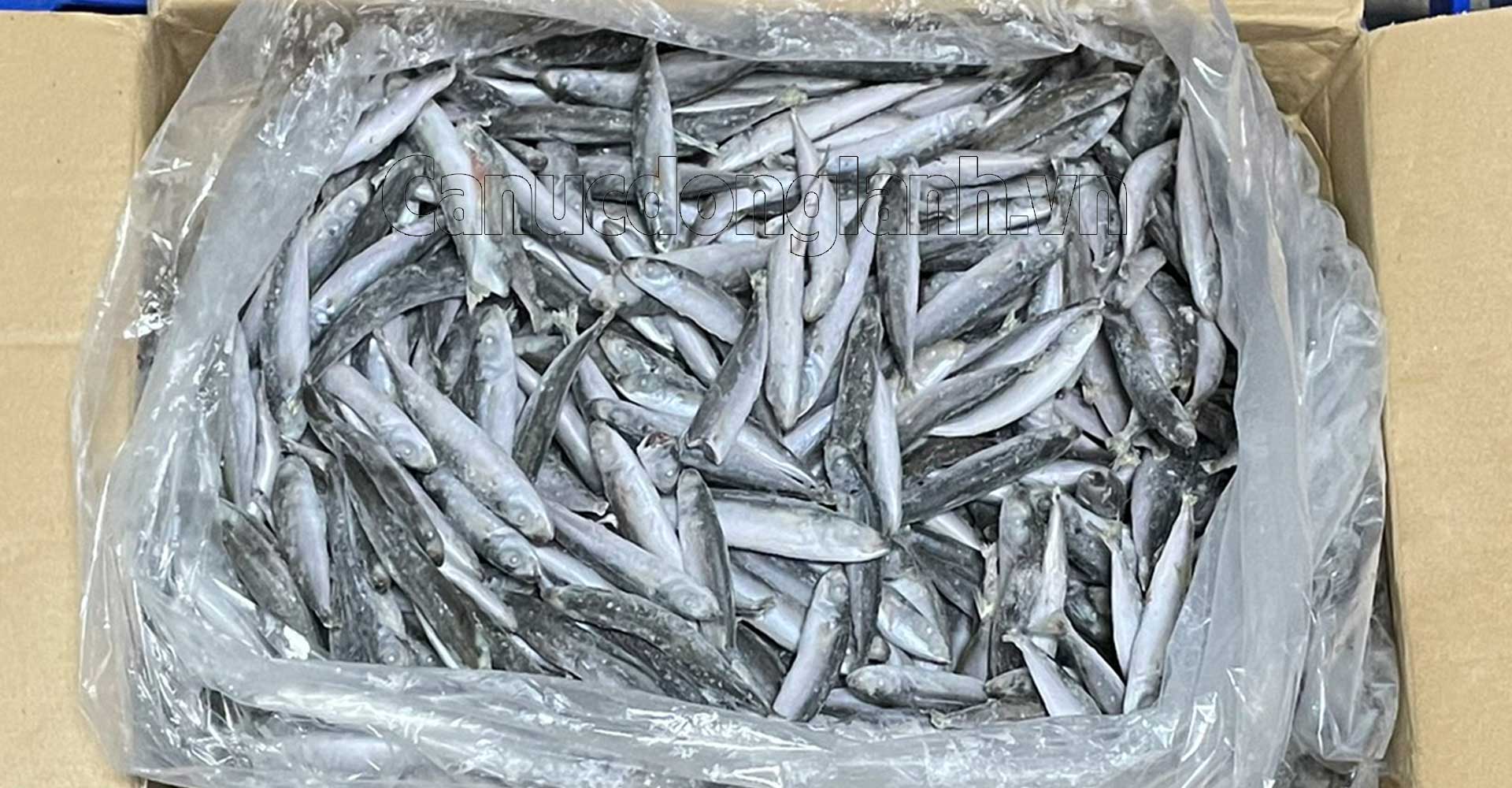Cá nục đông lạnh