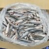 Cá nục đông lạnh size 16-20 con/kg