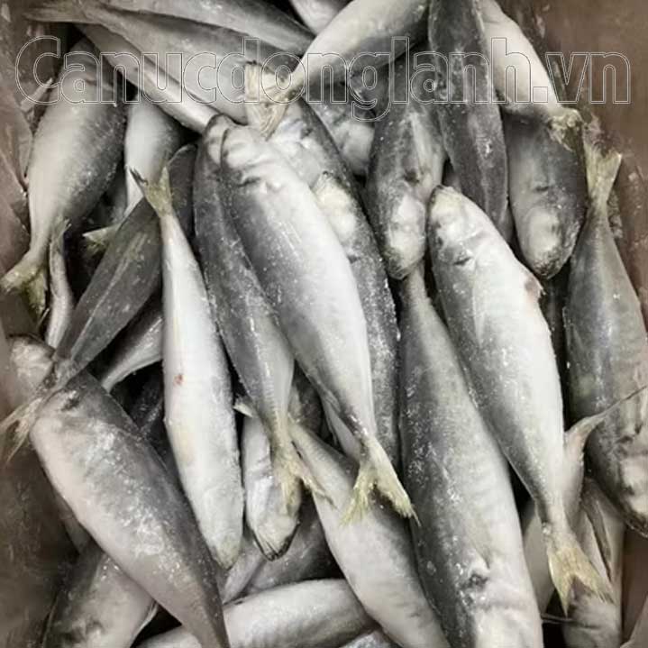 Cá nục bông đông lạnh size 8-10 con/kg