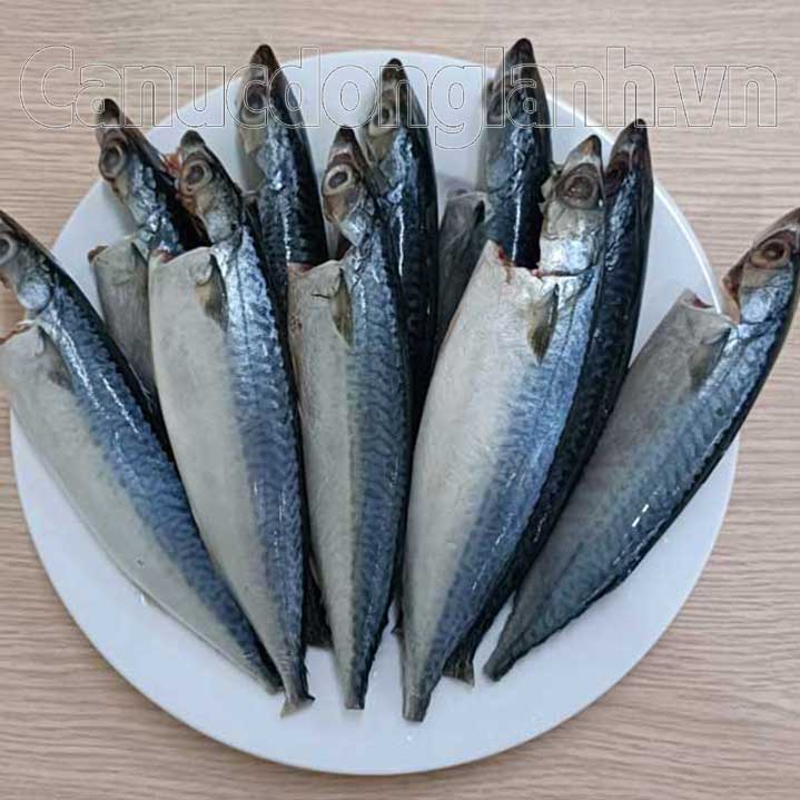 Cá nục bông đông lạnh size 6-8 con/kg