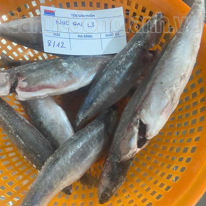 Cá nục gai đông lạnh size 8-16 con/kg