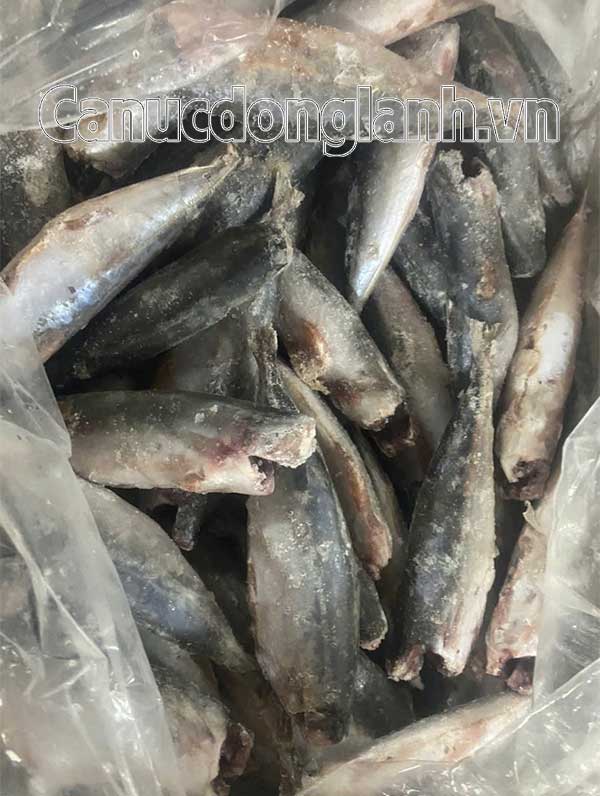 Cá nục gai đông lạnh size 8-16 con