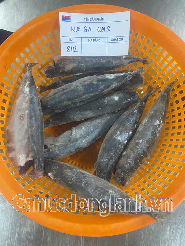 Cá nục gai đông lạnh size 8-16 con up