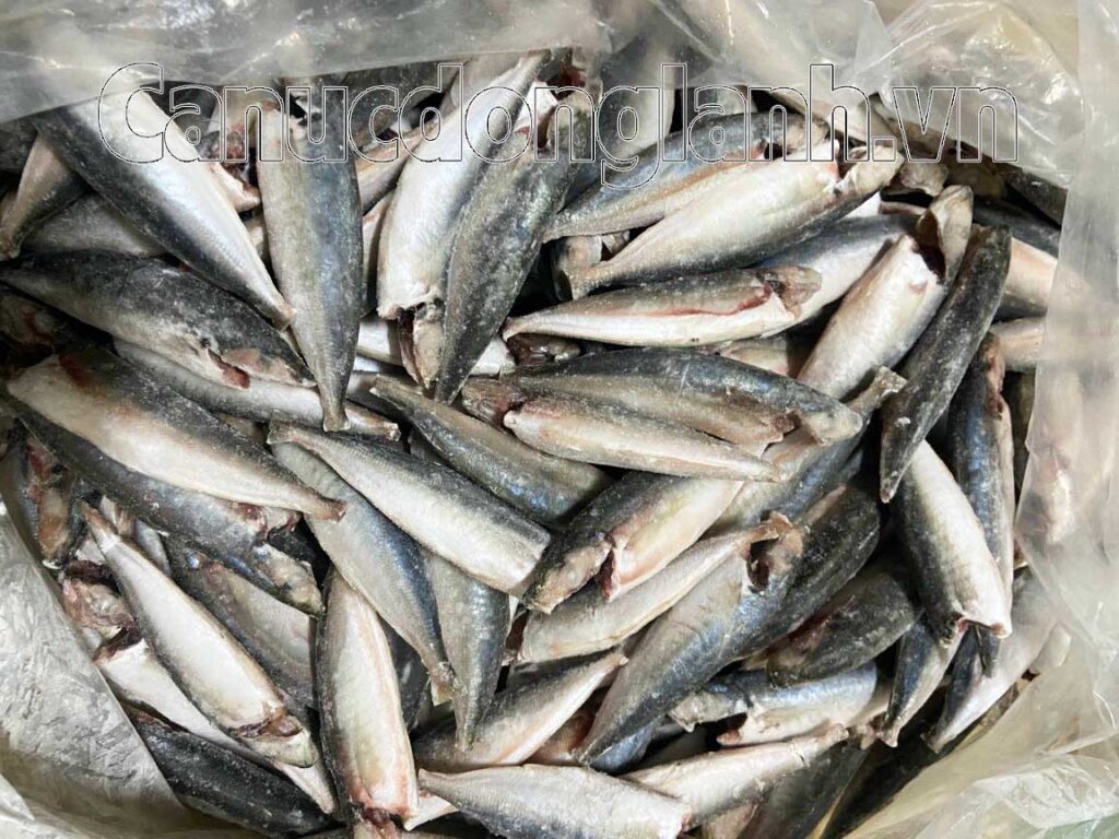 Cá nục gai đông lạnh size 20 con trở lên
