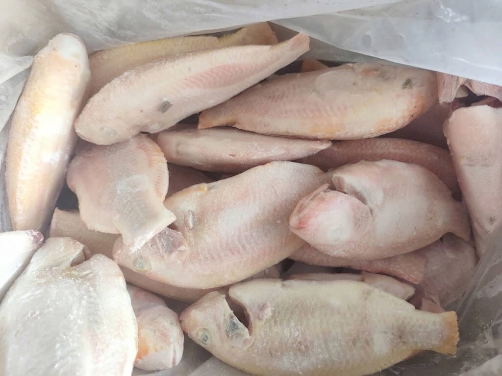 cá diêu hồng đông lạnh