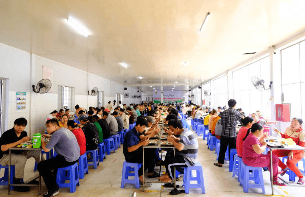 kinh nghiệm mua cá bếp rẻ